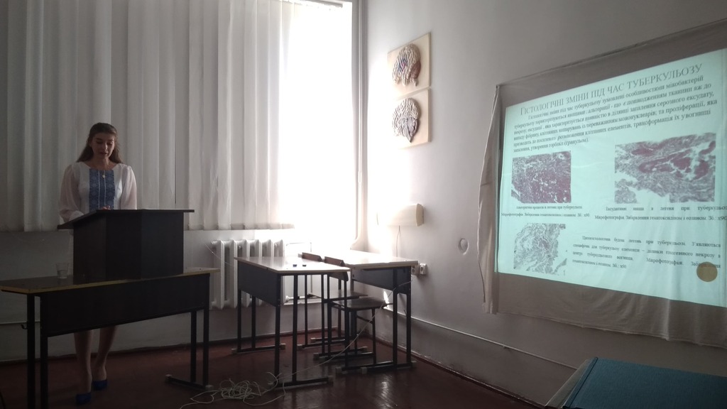 62455139_336611790345967_737015400151121920_n