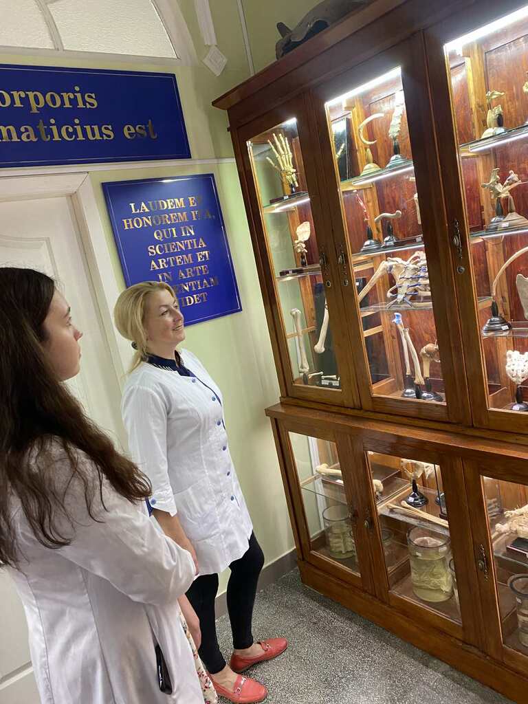 IMG-982c7908b531429d2fb1f4c00d231263-V