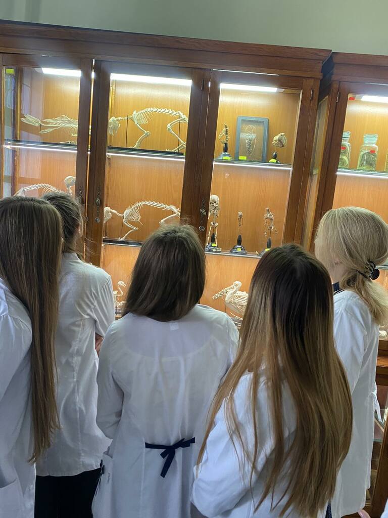 IMG-b553151589fd9c463c6ee73ce17b08d5-V