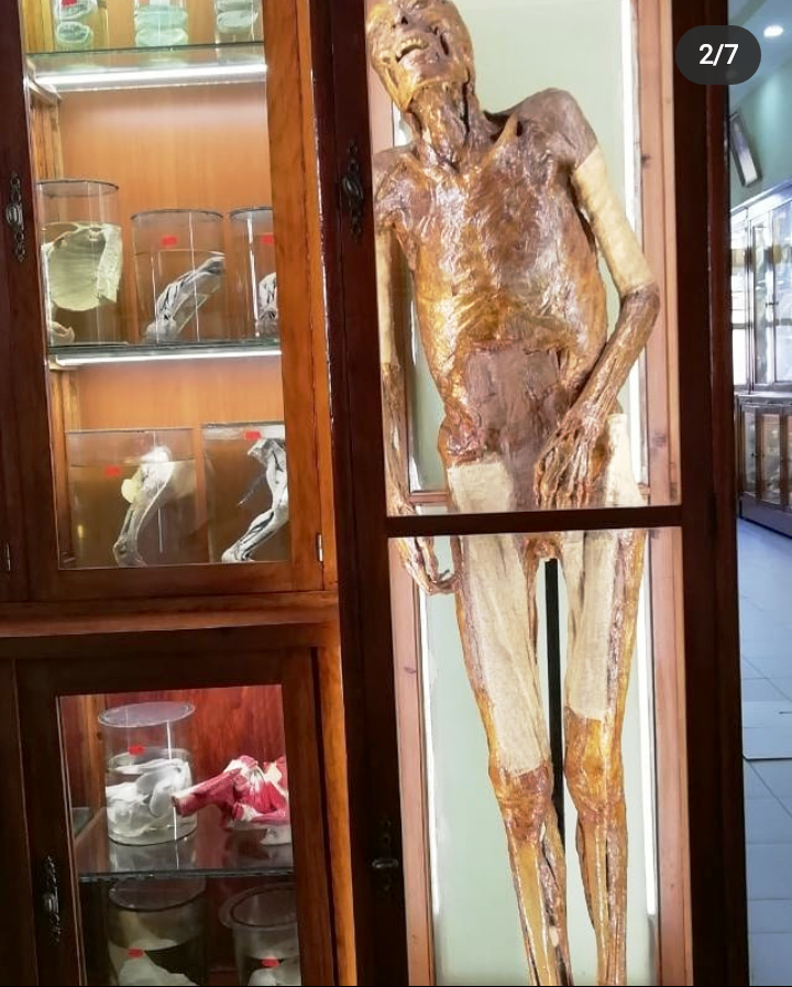 Screenshot_2021-09-16-12-36-29-858_com.instagram.android