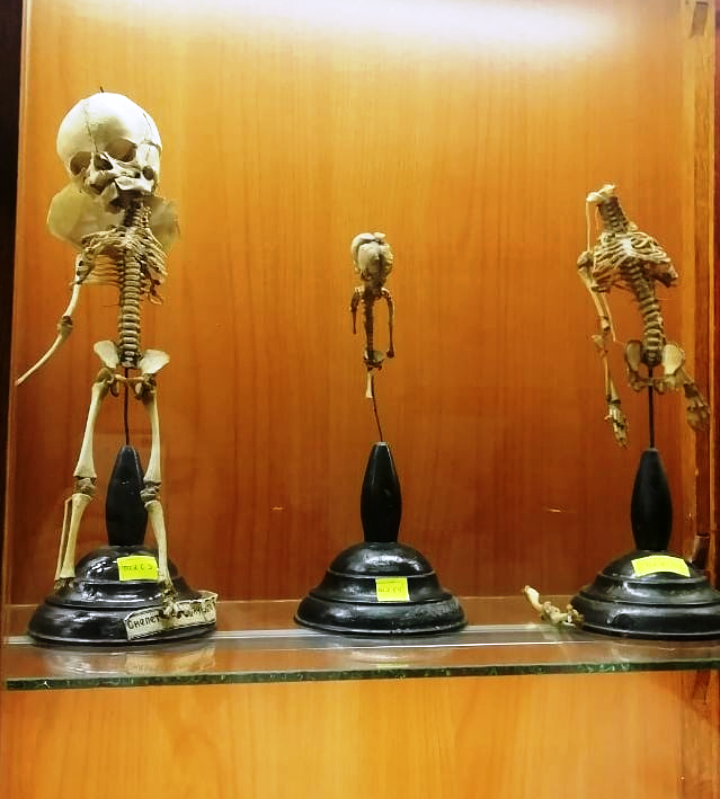 Screenshot_2021-09-16-12-37-00-755_com.instagram.android